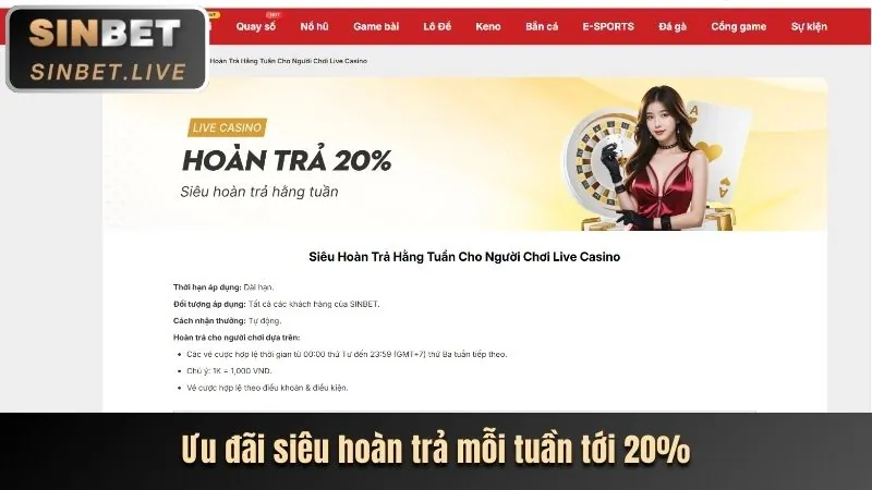 Cập nhật quy định và cá cược có trách nhiệm